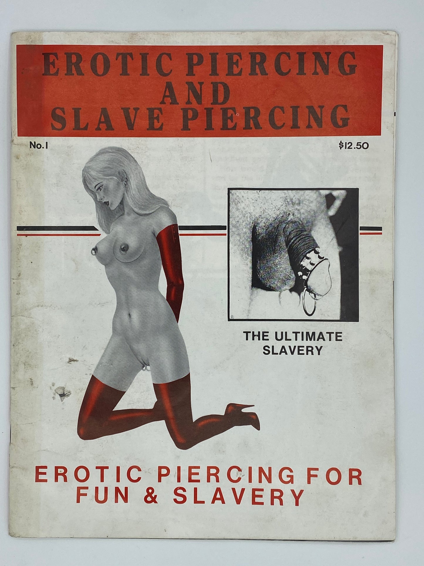 Erotic Piercings and Slave Piercings ISSUE #1